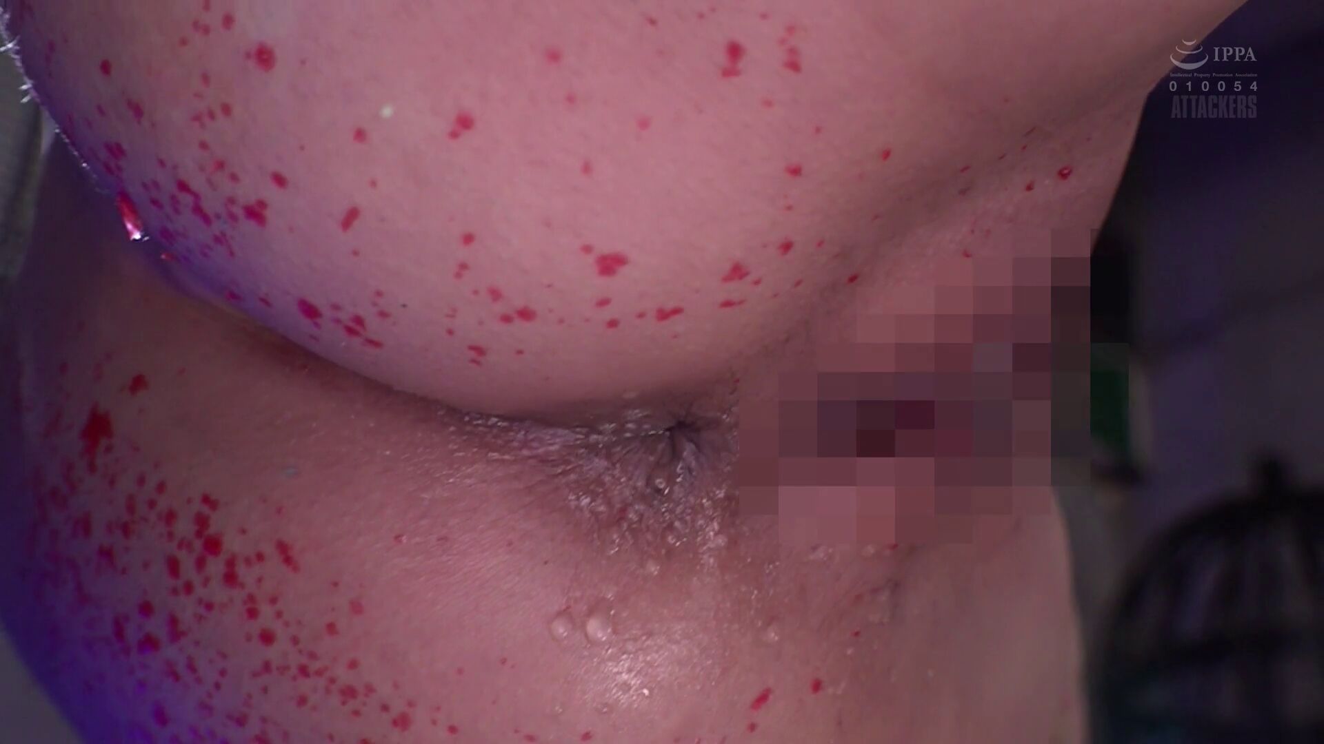 Blog image 7