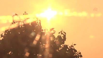 MILF Affair Creampie Temptation